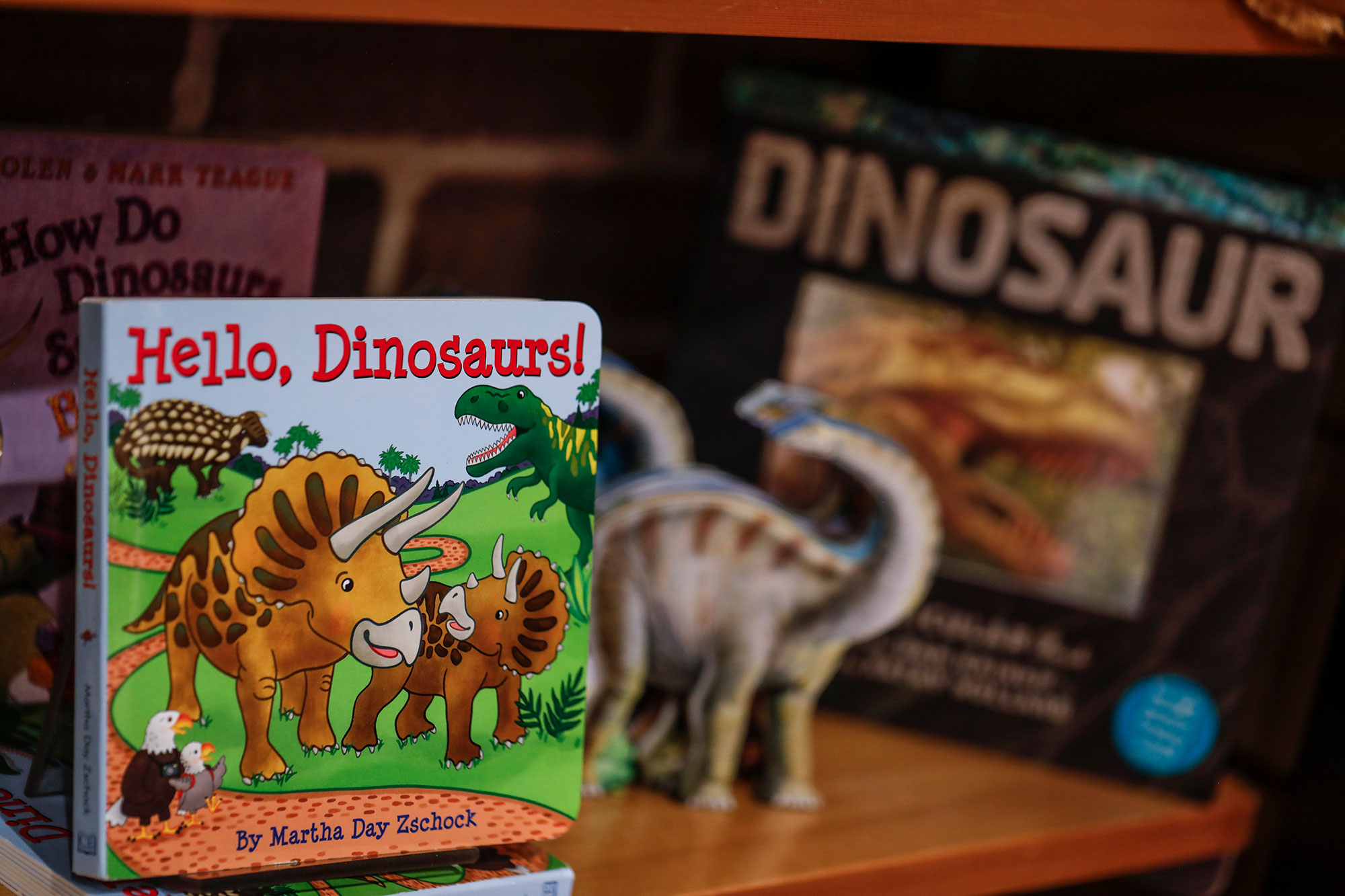 SEA Elliot Bay Book Company Children's Book and Dinosaur Toy