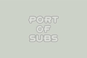 Port of Subs inverted white logo on green/grey background