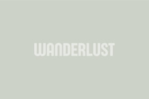 Wanderlust inverted white logo on green/grey background