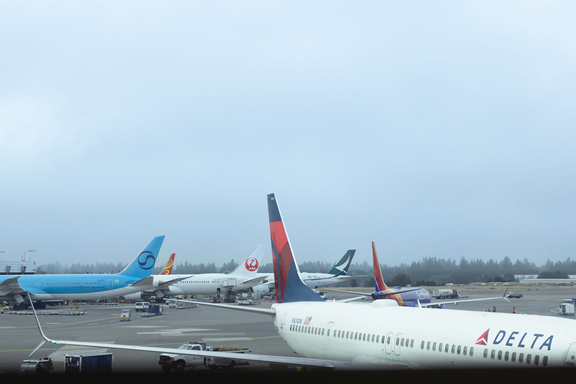 Airfield with multiple planes from Delta, Southwest, Japan Airlines, and others